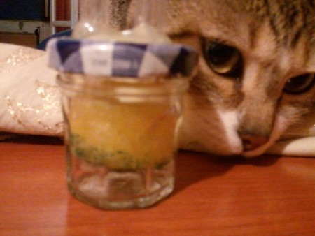 IL FILTRO DELL'ACQUARIO MODIFICATO (10 Immagini)